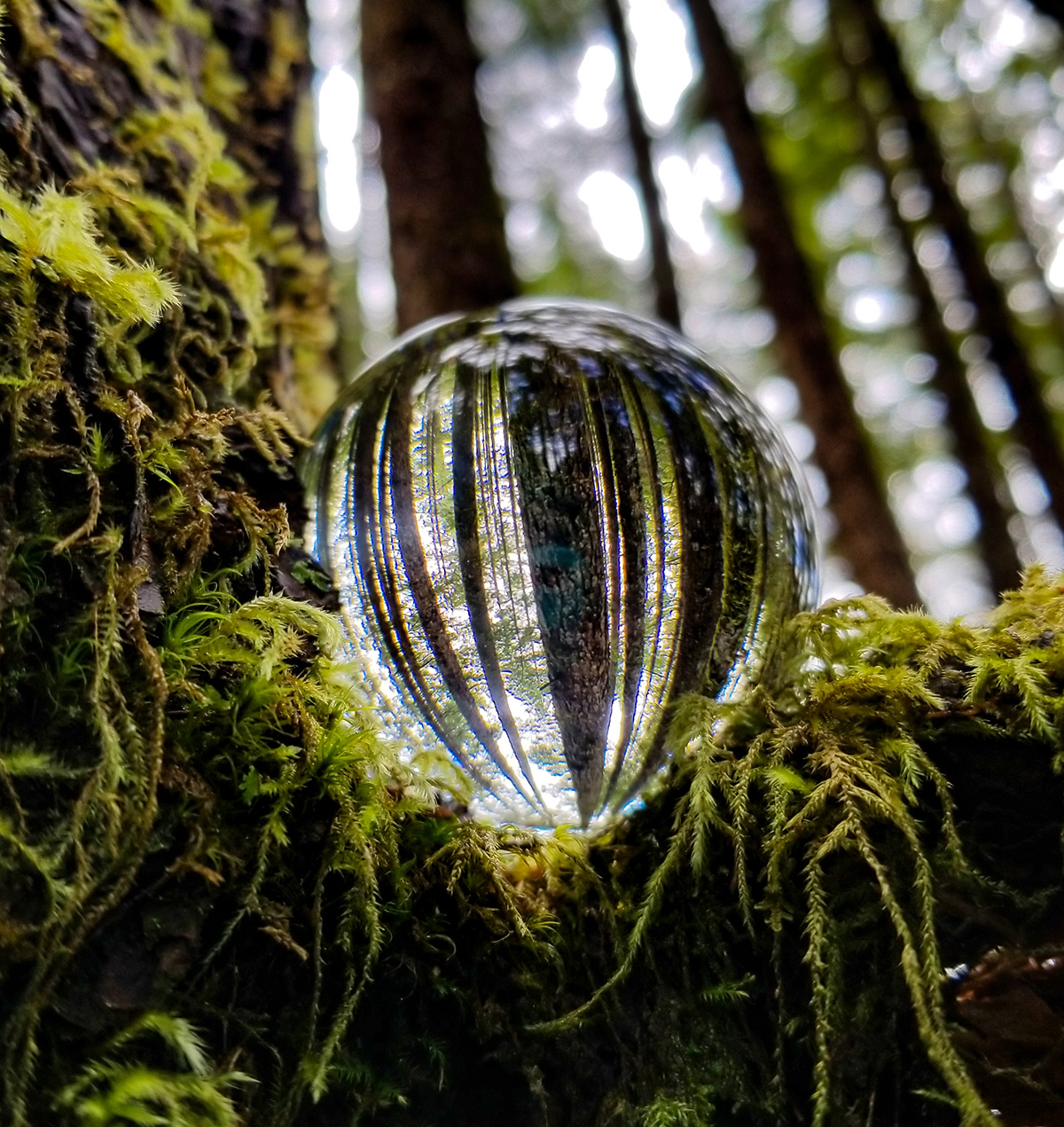 Through a crystal ball