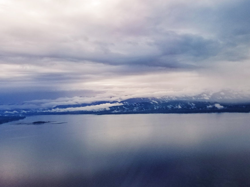 Flight Home