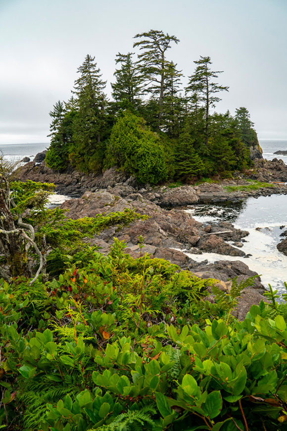 Wild Pacific Trail