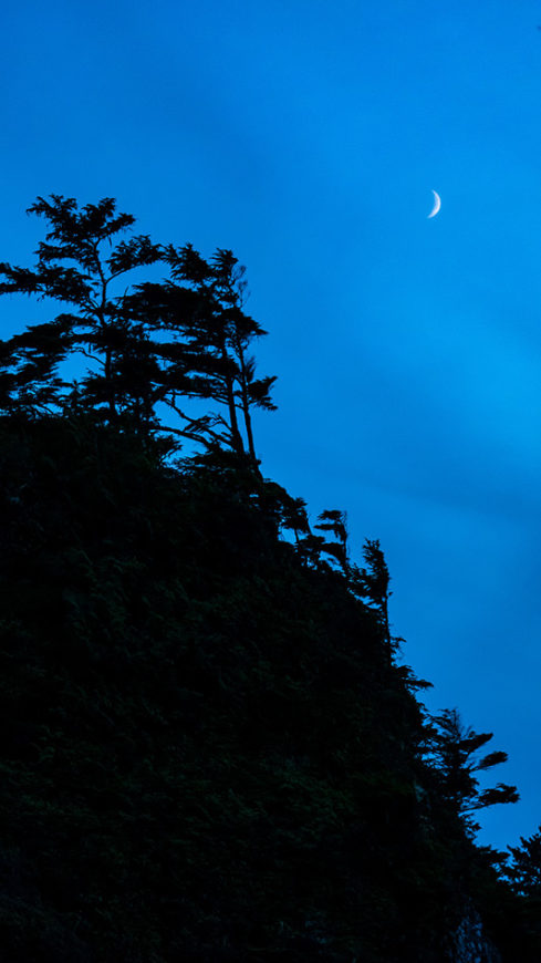 Crescent Moon over the Island