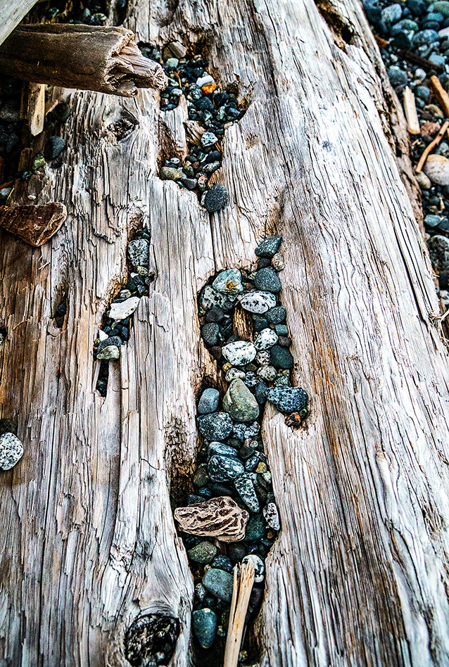 Natures Art